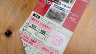 紅葉時期は激混み