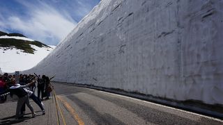 開通直後がいいのかも