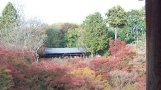 京都散歩の手始めに