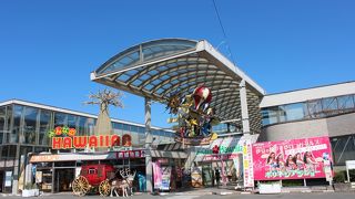 伊豆洋らんパークがパワーアップ、ショーアップして魅力的な観光スポットに生まれ変わっていました。