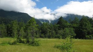 静かな湿原です