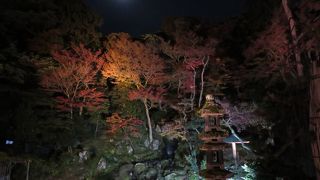 見ごたえのあるライトアップ