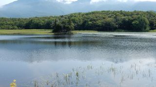 知床五湖で最大の湖。小回りの遊歩道ならビジターセンターから10分ぐらい