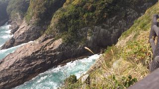 別府地獄・クロスの海・都井岬　(57)　日向岬（ひゅうがみさき）を散策