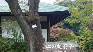 庭園を眺めながら