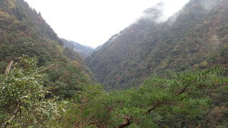 秘境に居る気分です。