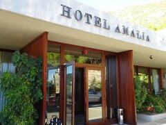 Amalia Hotel Delphi 写真