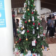 12月初旬、クリスマスツリーが飾られていました