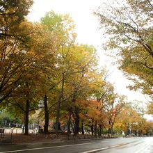 雪雲が近づき雨模様