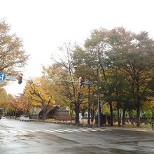 冬型の時は、雨傘必携