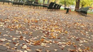 黄葉・紅葉も捨てがたい魅力。「条、丁目」の住所にご注意。