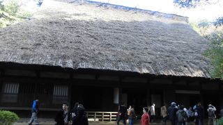 ２階にも上れます