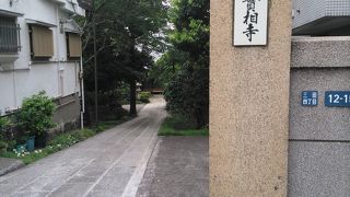 庭は結構いいです