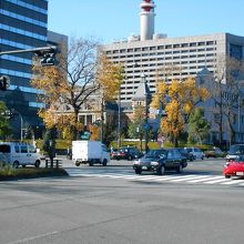 おぉ、見えて来ました