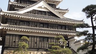 元日にはおまけが