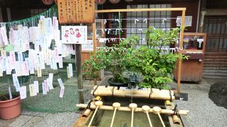 京の名水「錦の水」が湧きでる