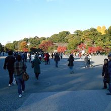 そして「乾通り」の散策です…色づいた木々が本当に美しい！