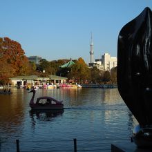 モニュメントとスワンボート、弁天堂、スカイツリーと紅葉