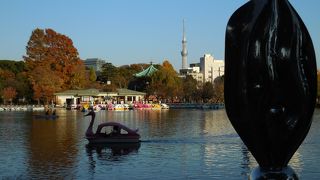 オブジェから不忍池の周りの紅葉を一望できました