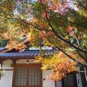 八幡で紅葉と言えばここ