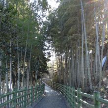 一松邸へ行く途中の竹小道