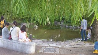 京都を代表する公園です。