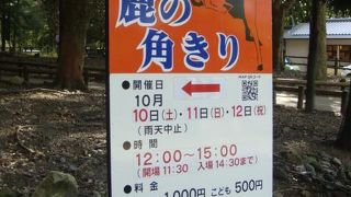 事故が起こらないように