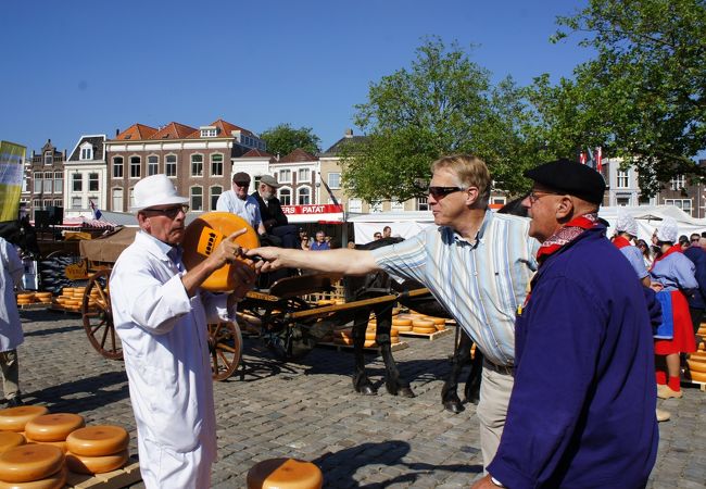 チーズの街ゴーダでチーズ祭りを見学