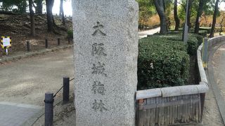 梅林越しの大阪城が美しい