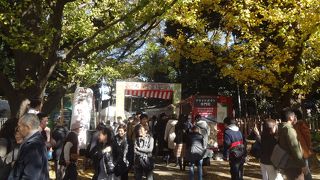 いちょうが色づくこの季節に