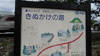 仁和寺→龍安寺→金閣寺まで歩きました