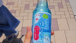 道の駅すぐ近くのお土産屋