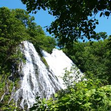 知床観光の人気スポットの一つです