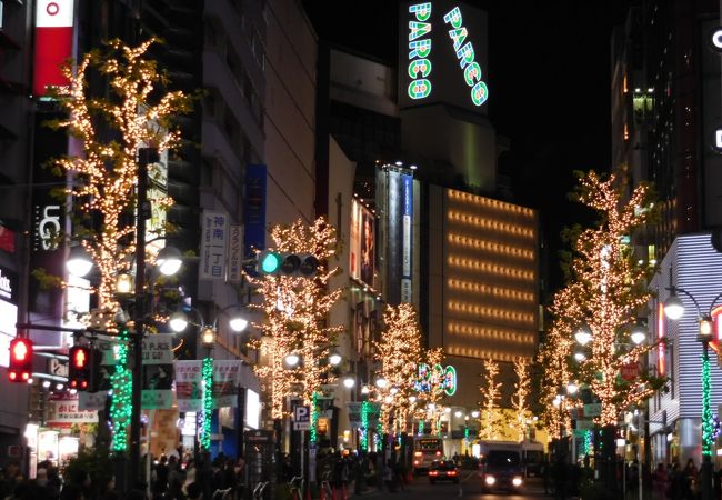 LIGHT-UP CHRISTMAS IN SHIBUYA