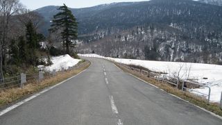 なだらかな山道