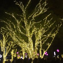 警固公園です。