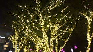 イルミネーションがきれいだった夜の警固公園