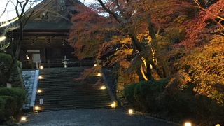 広い境内を見て回るには十分な時間が必要です。