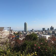 平清盛所縁の、北野天満宮からの眺めは最高！