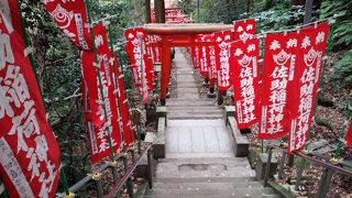 赤い鳥居が神秘的