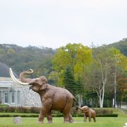 ナウマン象の像がある