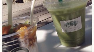 朝のお散歩にも最適！