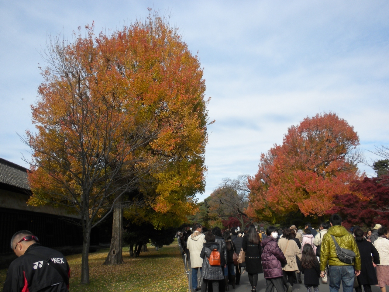 取り敢えずもみじ
