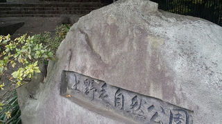 公園内に張り巡らされた階段で世田谷の丘を散策できます