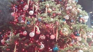 クリスマスツリー