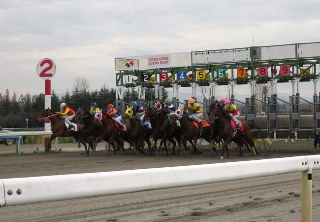 金沢競馬場 クチコミ アクセス 営業時間 金沢 フォートラベル 金沢競馬場 クチコミ アクセス 営業時間 金沢 フォートラベル