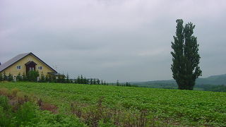 年輩の人が多かったです