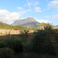 客室から見える由布岳