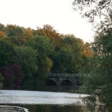 少し黄葉が始まっていました