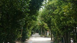 静かに木漏れ日を楽しむ